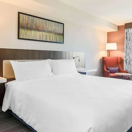 Hilton Garden Inn Reno-3